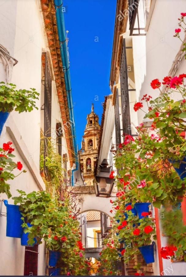 Centro-Mezquita 4 A 8 Huespedes Lägenhet Córdoba Exteriör bild